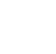 ZS Motor
